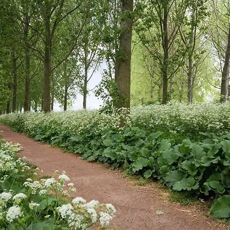 Luxe In Prachtig Natuurgebied *