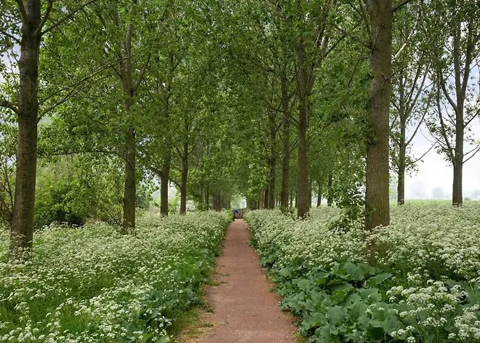 Luxe In Prachtig Natuurgebied * Lith