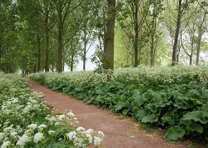 Luxe In Prachtig Natuurgebied *