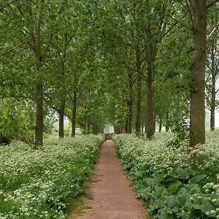 Luxe In Prachtig Natuurgebied * Lith